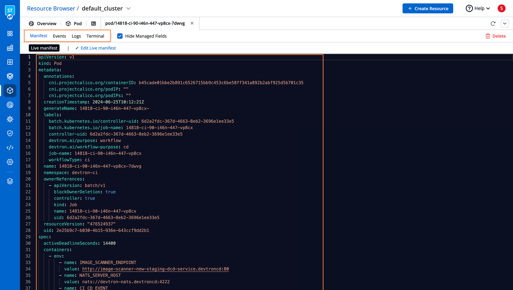 Fig 2. Resource Browser - Pod Manifest