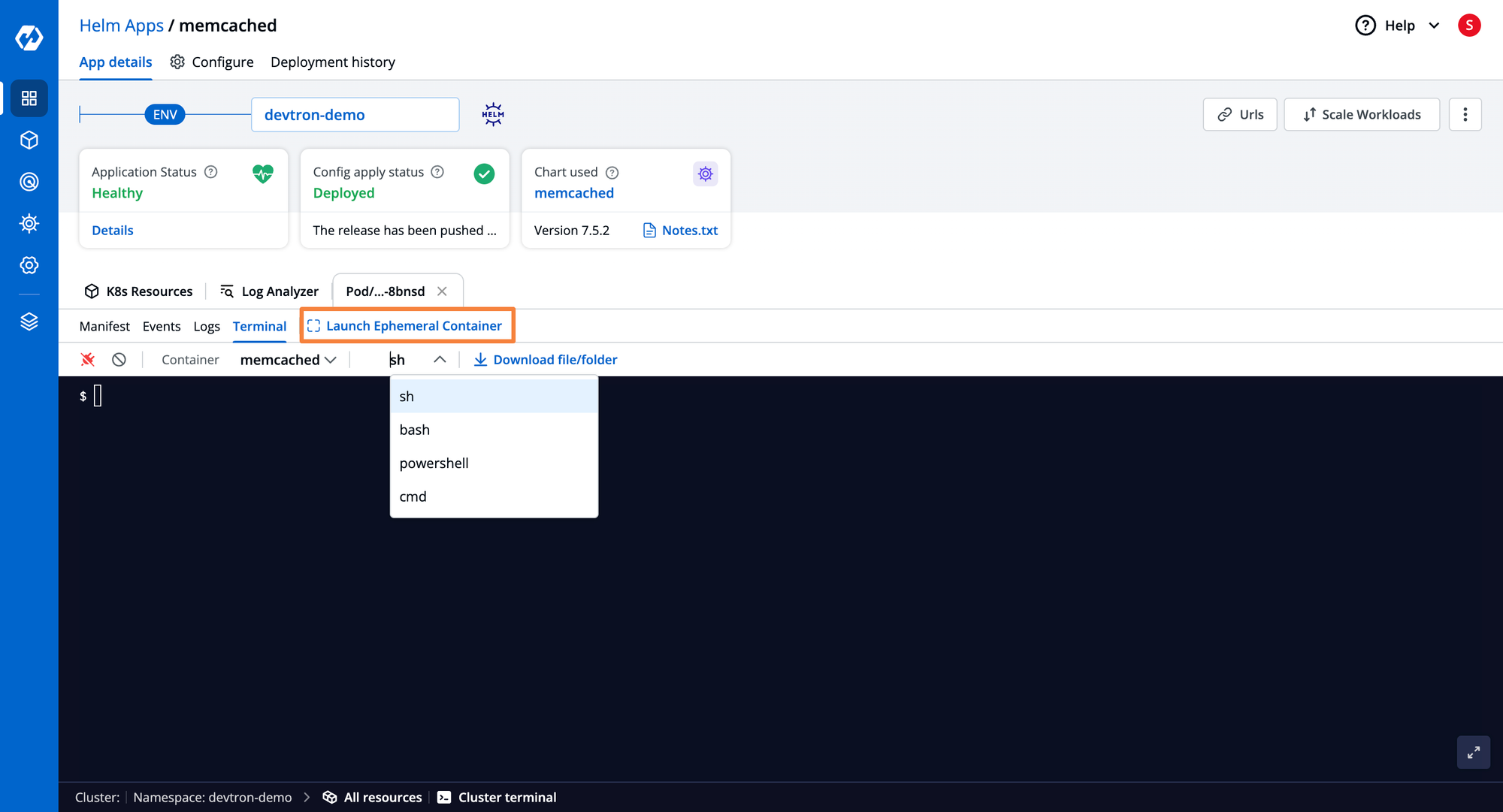 Terminal Access in Devtron