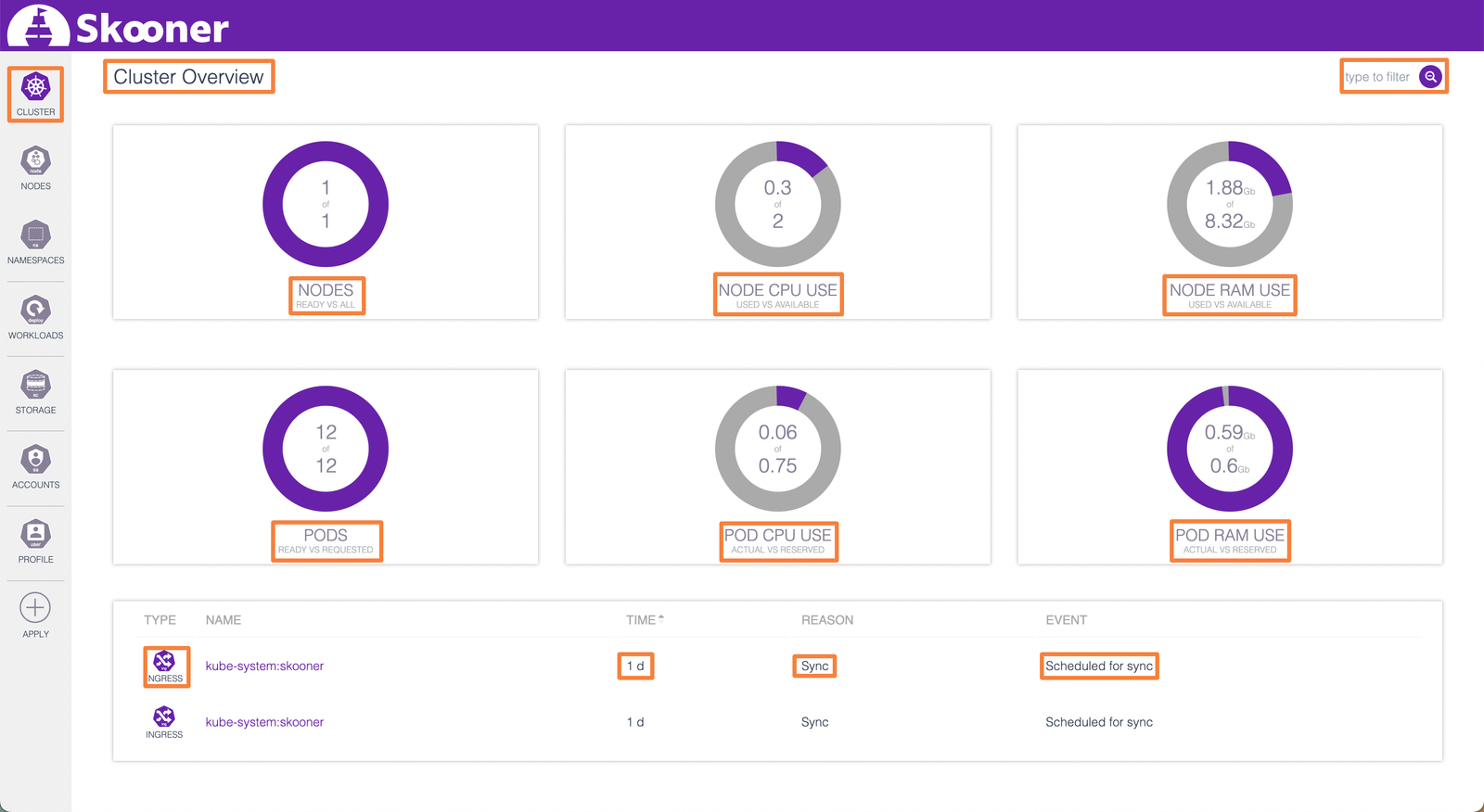 Cluster overview in Skooner