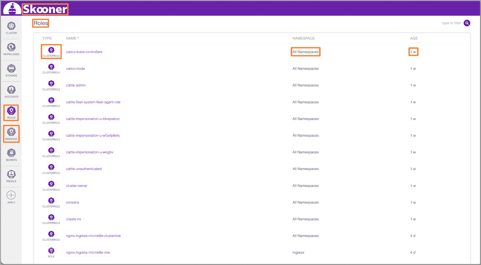 Access Management in Skooner