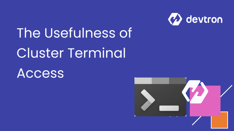The Usefulness of Cluster Terminal Access