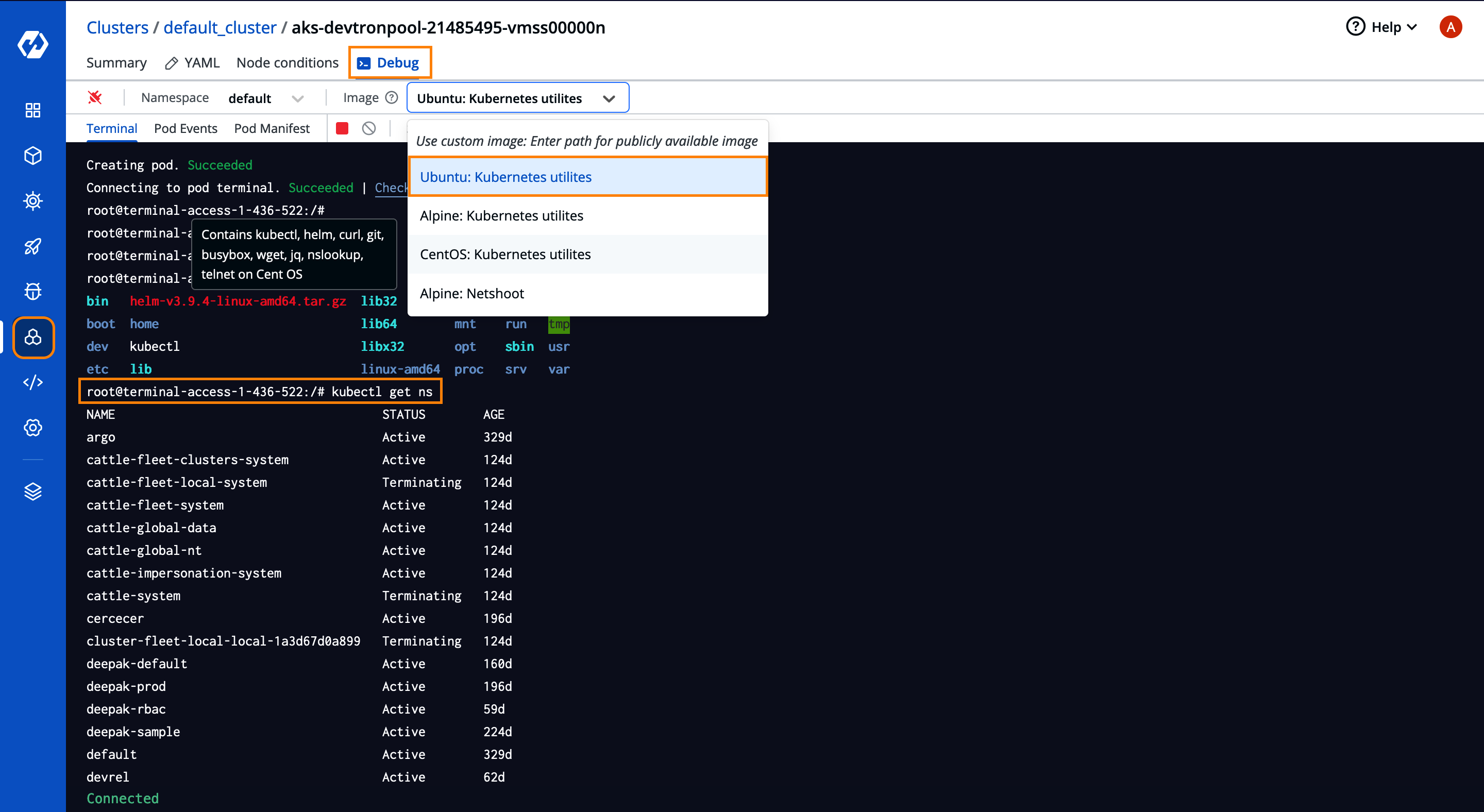 Managing Kubernetes Clusters with Cluster Terminal Access